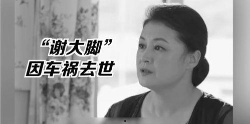 娱乐圈的瓜vs我吃的瓜,娱乐圈大瓜与我日常瓜果分享